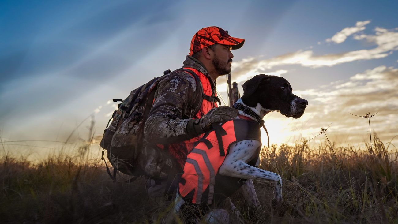 Blaze Orange for the Dog: Our Deer Season Walking Setup