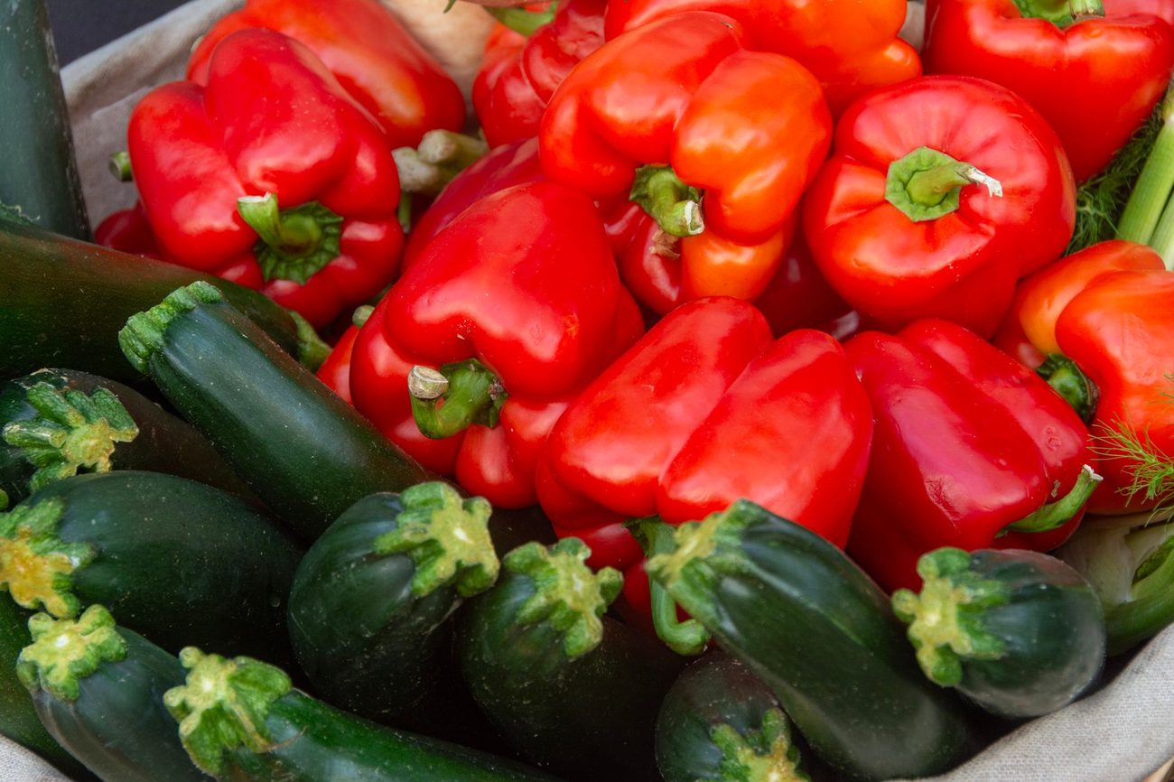 Garden Zucchini and Carrots: Dog Treats We Freeze in August
