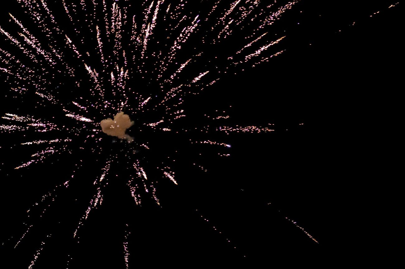 Getting a Fireworks-Scared Dog Through the Fourth of July