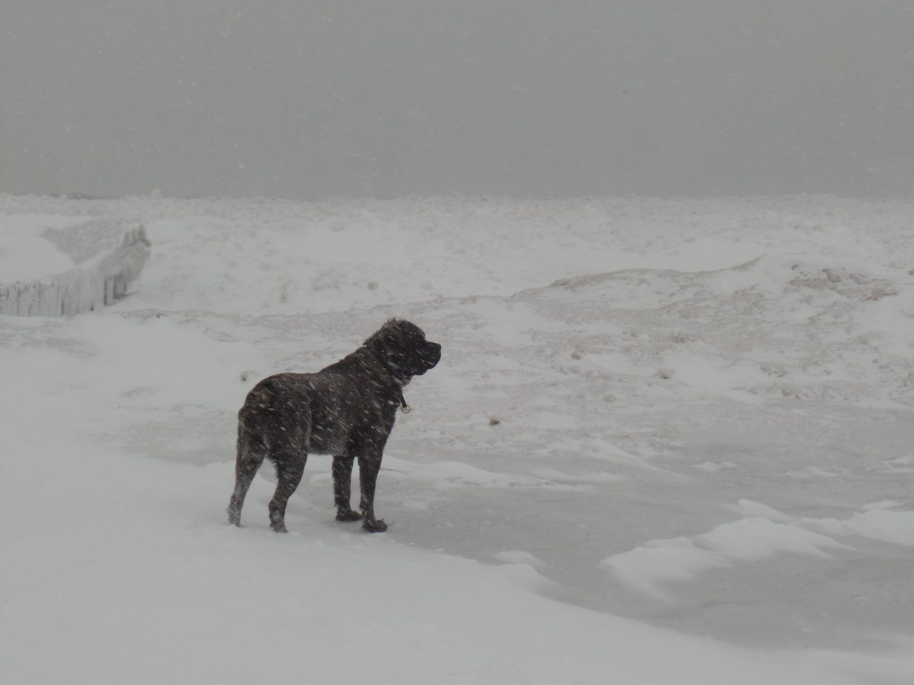 Hank Slipped on the Ice, and Now We Wait on a Knee