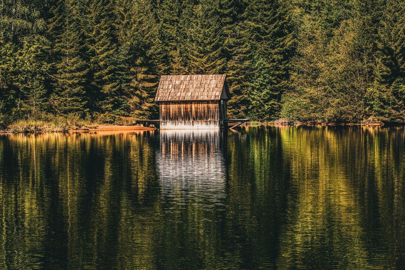 Our Dog-Friendly Cabin Week Near Nisswa, Honestly Reviewed