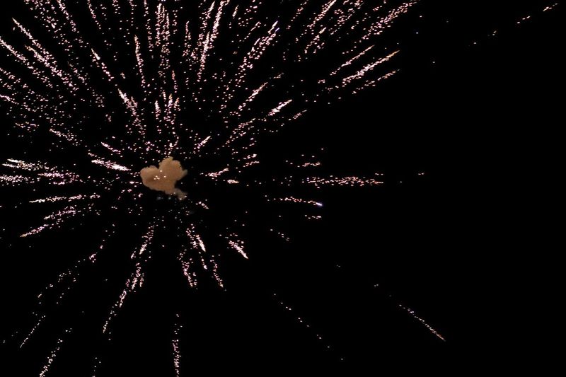 Getting a Fireworks-Scared Dog Through the Fourth of July
