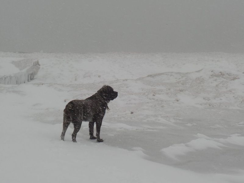 Hank Slipped on the Ice, and Now We Wait on a Knee