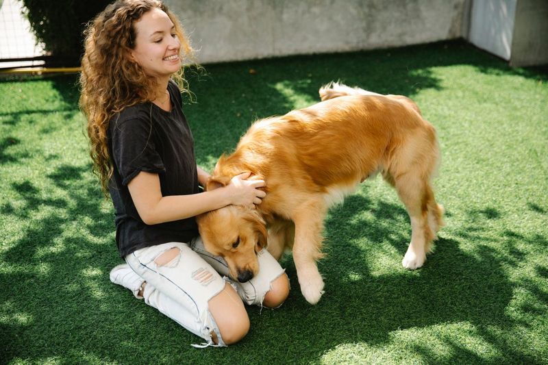 Itchy Paws in May and How Our Deductible Actually Works