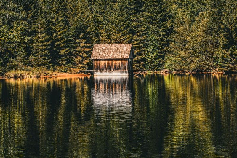 Our Dog-Friendly Cabin Week Near Nisswa, Honestly Reviewed
