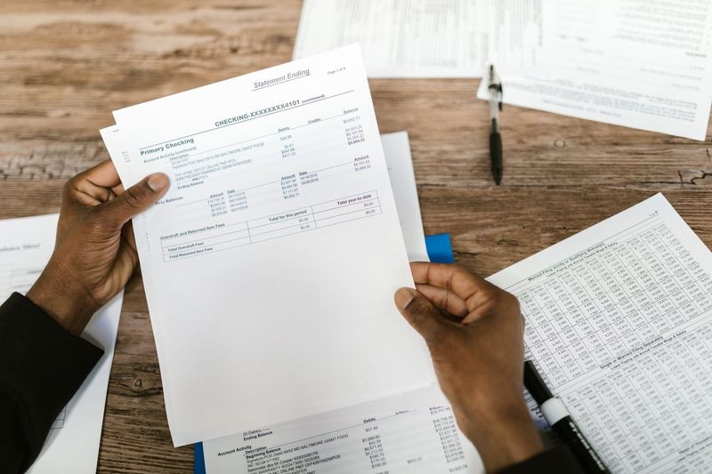Thirteen Percent Higher: Reading Our Pet Insurance Renewal Notice