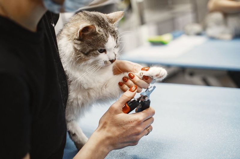 When the Bloodwork Comes Back a Little Off