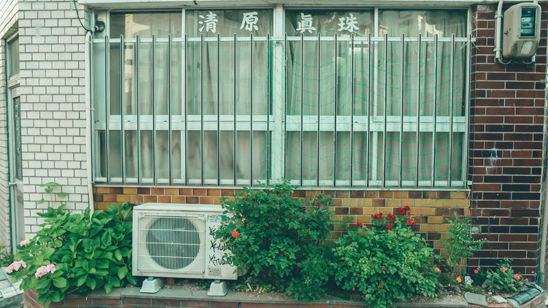 Window AC Units, Box Fans and a Panting Dog in an Old House