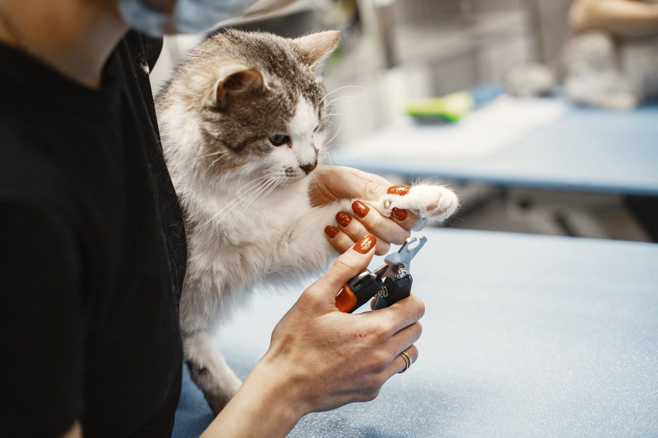 When the Bloodwork Comes Back a Little Off